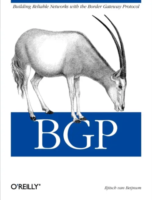 BGP - Iijitsch Van Beijnum
