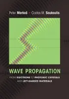 Wave Propagation - Markos, Peter a Soukoulis, Costas M.