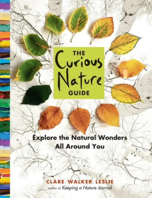 Curious Nature Guide - Walker Leslie, Clare