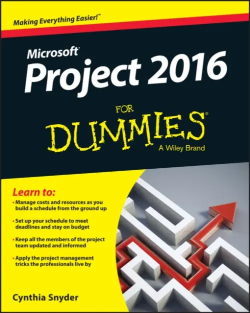 Project 2016 For Dummies - Snyder Dionisio, Cynthia (Web Developer)