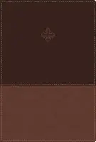 Amplified Study Bible, Leathersoft, Brown - Zondervan