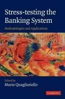 Stress-testing the Banking System