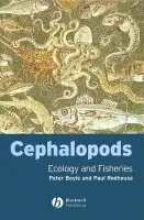 Cephalopods - Boyle, Peter (Department of Zoology, University of Aberdeen) a Rodhouse, Paul
