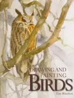 Drawing and Painting Birds - Wootton, Tim