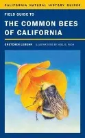 Field Guide to the Common Bees of California - LeBuhn, Gretchen