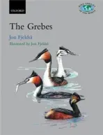 Grebes - Fjeldsa, Jon (, Professor of Biodiversity, Zoological Museum, University of Copenhagen)