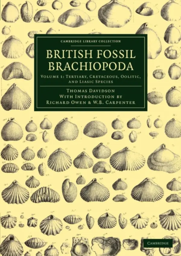 British Fossil Brachiopoda - Davidson, Thomas