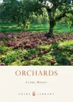 Orchards - Masset, Claire