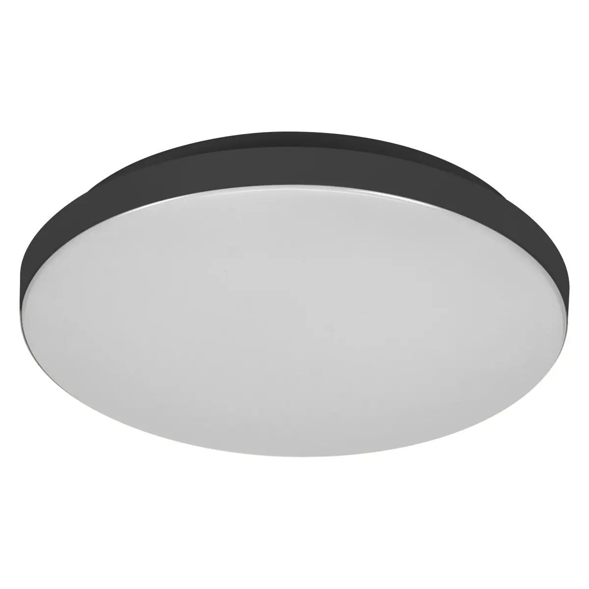 Černé nástěnné svítidlo 12 W, 220mm, Teplá bílá