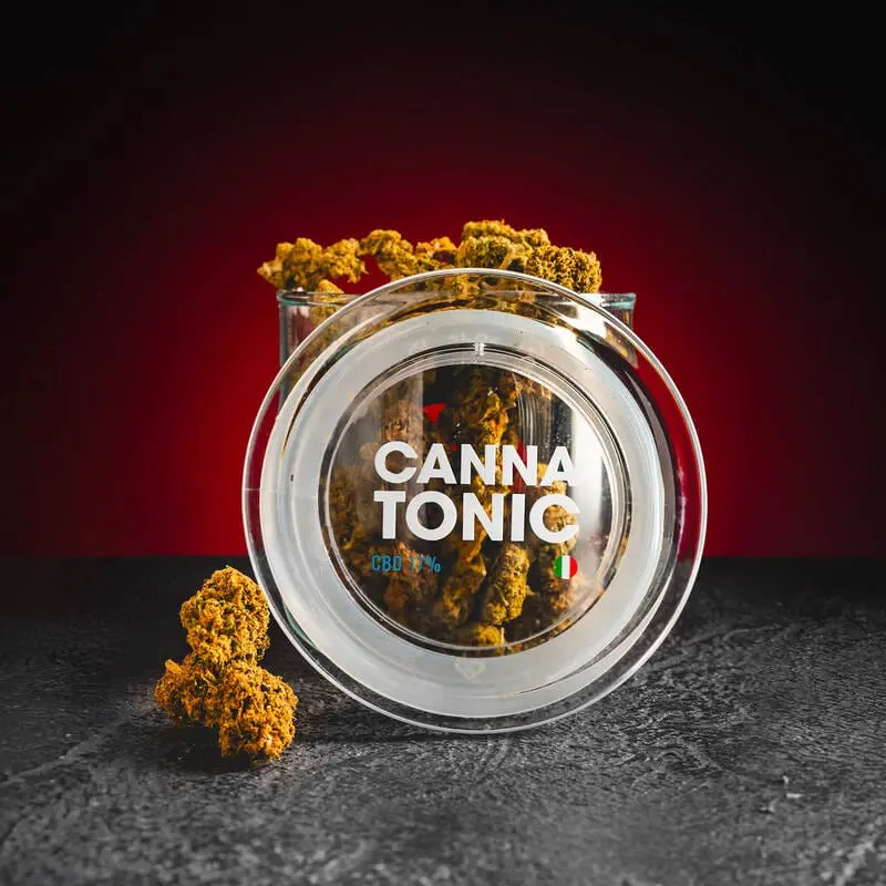 CBD Cannatonic 17% 1g
