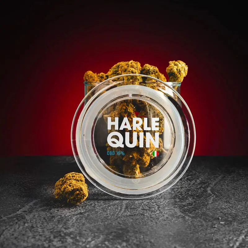 CBD Harlequin 15% 2g