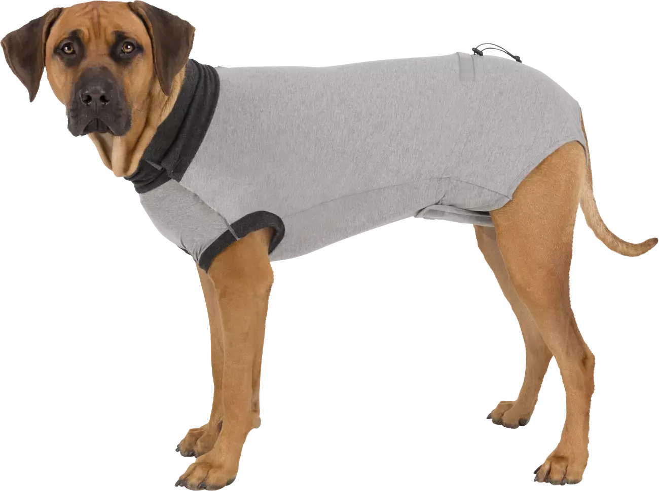 Ochranný obleček Trixie po operaci XL 70cm šedý