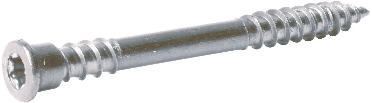 Vrut nerezový RAPI-TEC TERASO TOP T25 5,5×60 mm