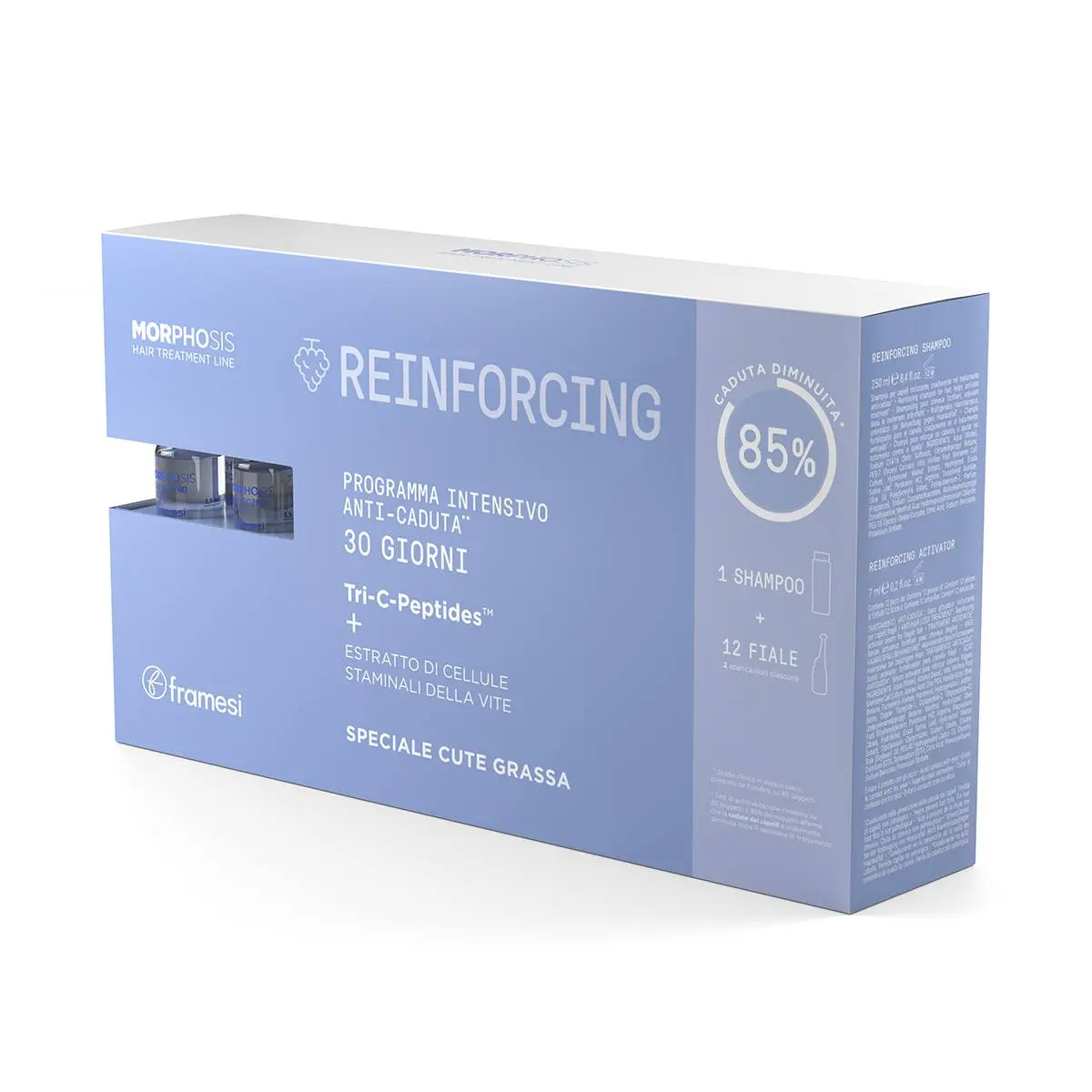 Framesi Morphosis Reinforcing Kit - Šampon 250ml + 1x Aktivátor 12x7ml