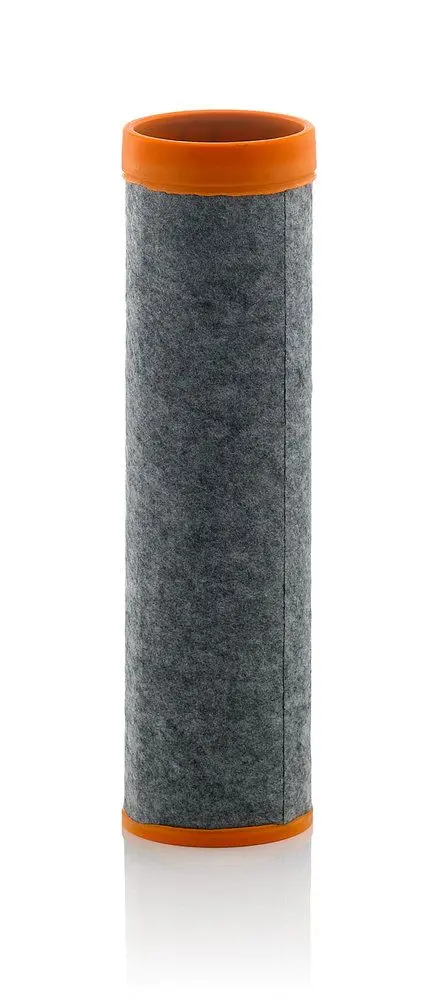 MANN-FILTER Filtr - sekundární vzduch CF10001