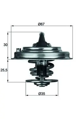 Termostat, chladivo MAHLE TX 30 80D