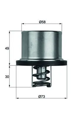 Termostat, chladivo MAHLE THD 1 79