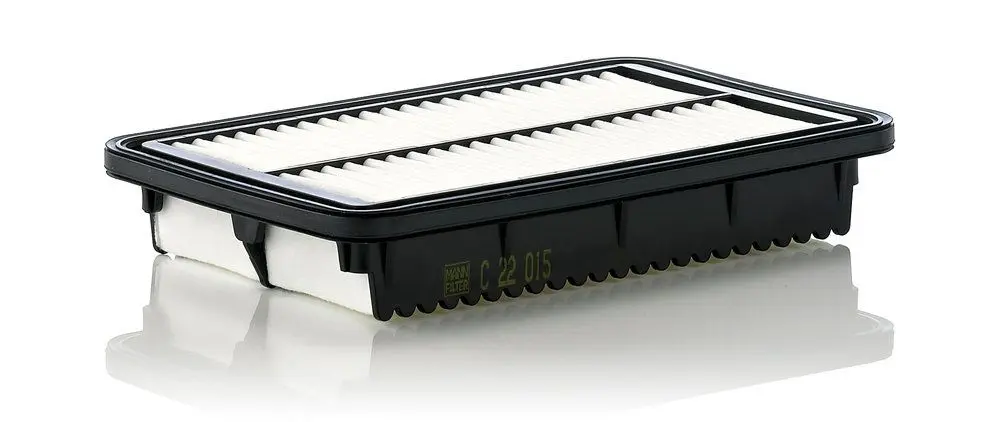 MANN-FILTER Vzduchový filtr C22015