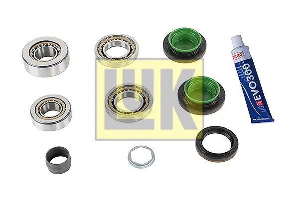 Opravná sada, diferenciál Schaeffler LuK 462 0147 10