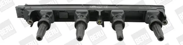 Zapalovací cívka BorgWarner (BERU) ZS352