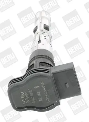 Zapalovací cívka BorgWarner (BERU) ZSE062