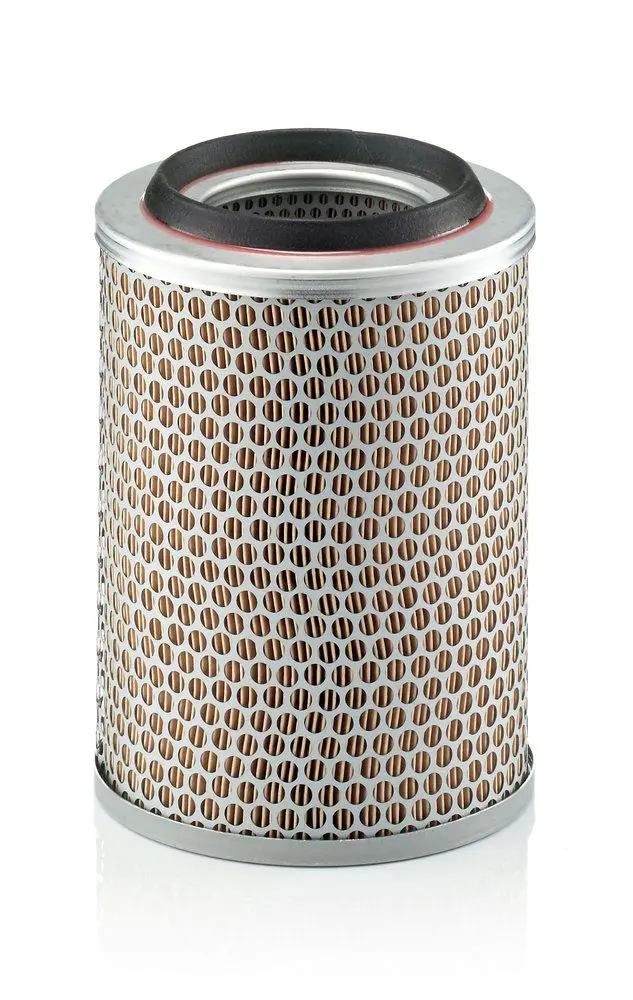 MANN-FILTER Vzduchový filtr C17217