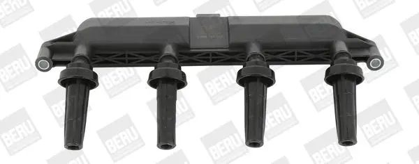 Zapalovací cívka BorgWarner (BERU) ZSE047