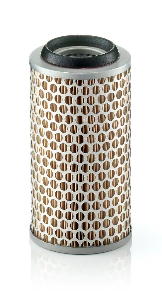 MANN-FILTER Vzduchový filtr C10431