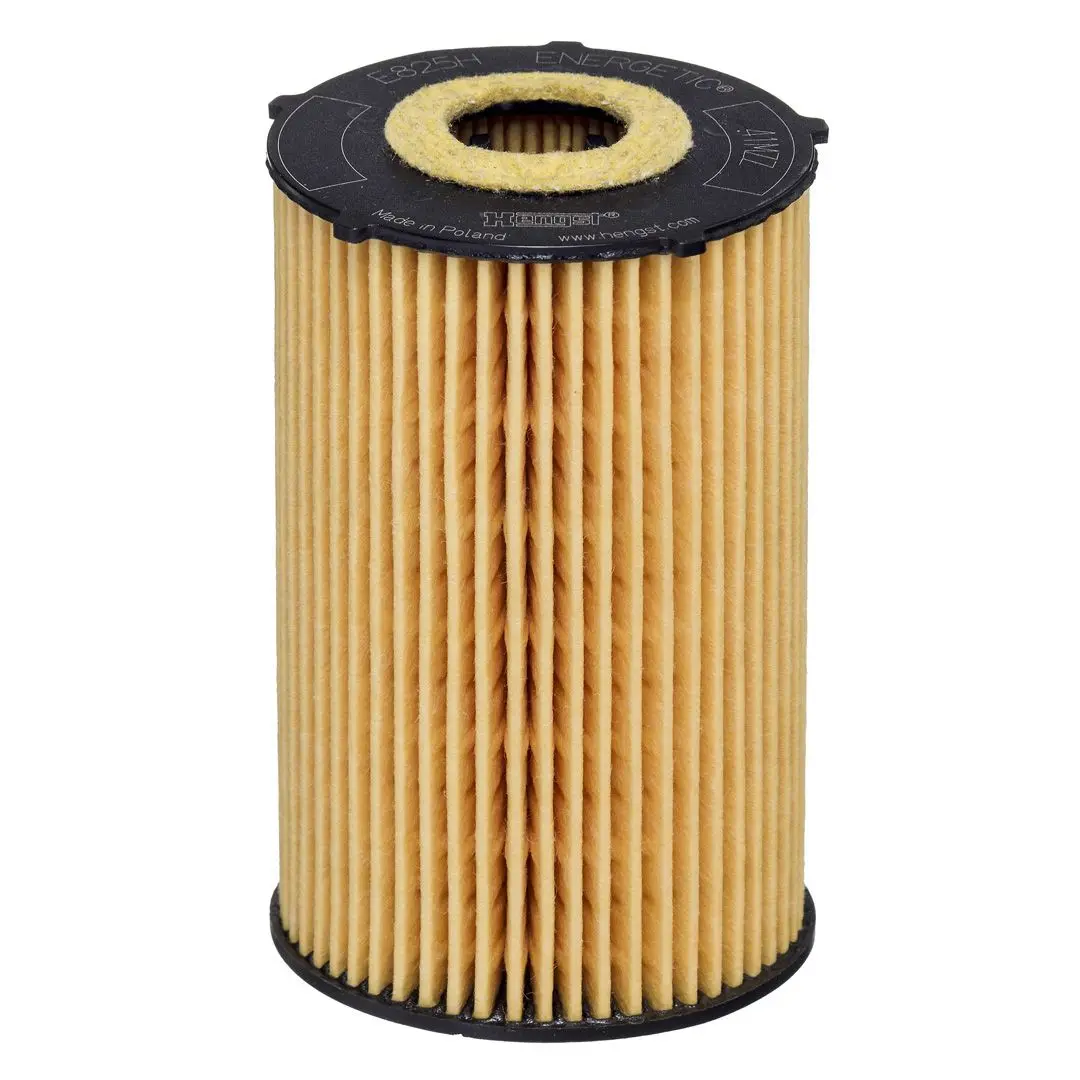 HENGST FILTER Olejový filtr E825HD265