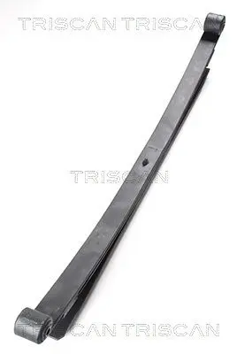 Paket pružin TRISCAN 8765 23021