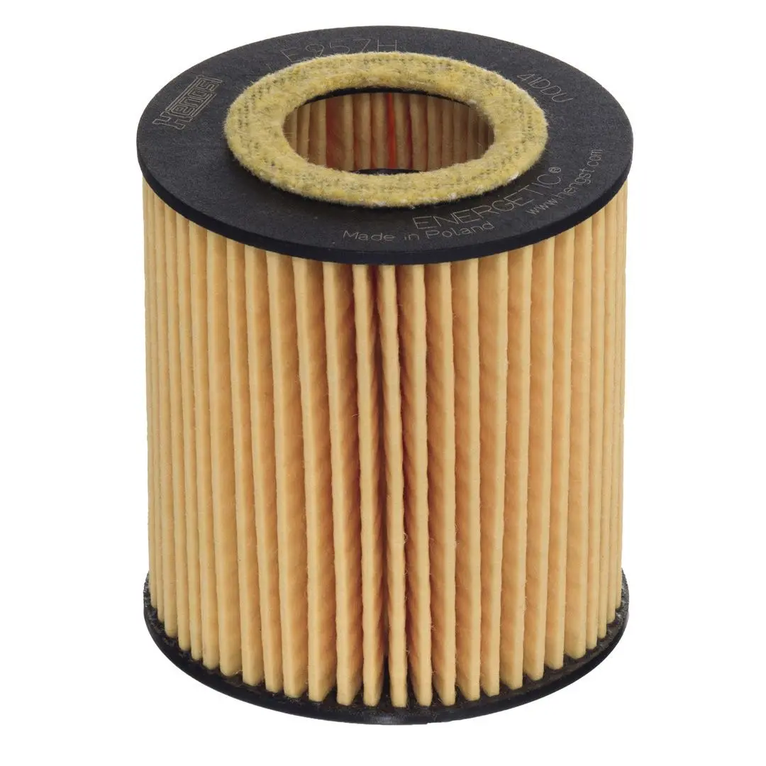 HENGST FILTER Olejový filtr E957H D505