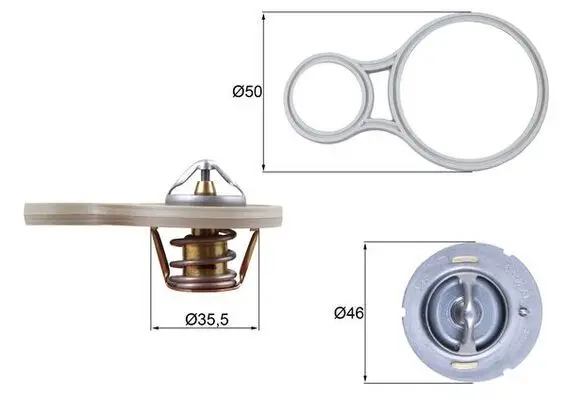 Termostat, chladivo MAHLE TX 255 91