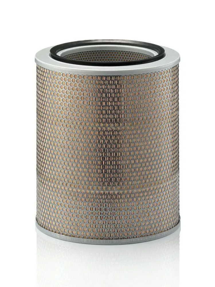 MANN-FILTER Vzduchový filtr C3110932