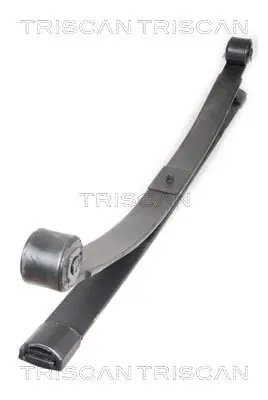 Paket pružin TRISCAN 8765 16036