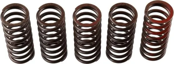 TRW ZF spojkové pružiny KAWASAKI KLX 450R 07-18, KX 450F 06-11 (TRW ZF spojkové pružiny KAWASAKI KLX 450R 07-18, KX 450F 06-11)