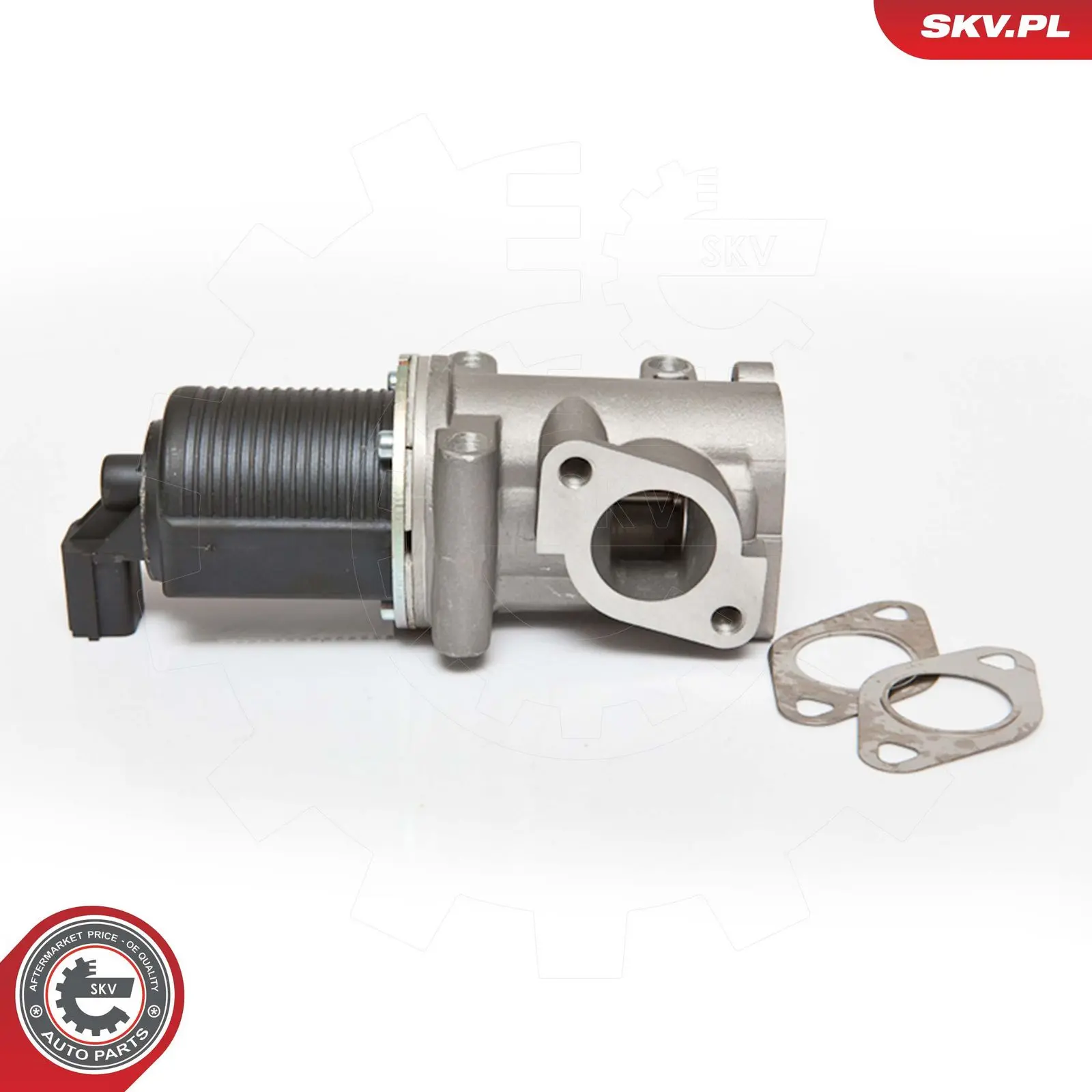 AGR-Ventil ESEN SKV 14SKV076