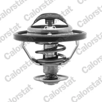 Termostat, chladivo CALORSTAT by Vernet 6311.82/J