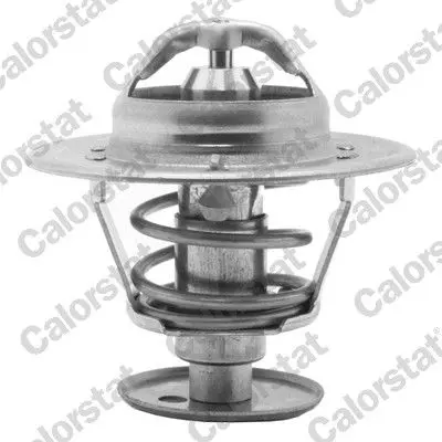 Termostat, chladivo CALORSTAT by Vernet 5981.89/J