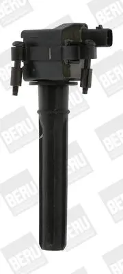 Zapalovací cívka BorgWarner (BERU) ZS432