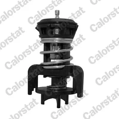 Termostat, chladivo CALORSTAT by Vernet TH7275.92J