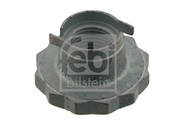 Matice, čep nápravy FEBI BILSTEIN 30028