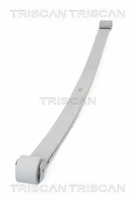 Paket pružin TRISCAN 8765 10006
