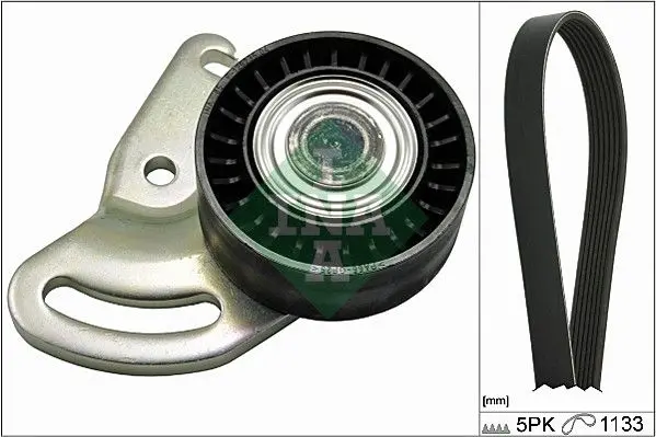 Sada žebrovaných klínových řemenů Schaeffler INA 529 0178 10