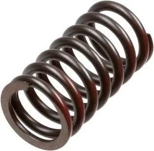 TRW ZF spojkové pružiny DUCATI 749S/R 03-07, 916 ST4 99-03, 944 ST2 97-03, 996 ST4 01-03, 999 BIPOSTO 02-06, MONSTER 1000 02-08, MULTISTRADA/SS