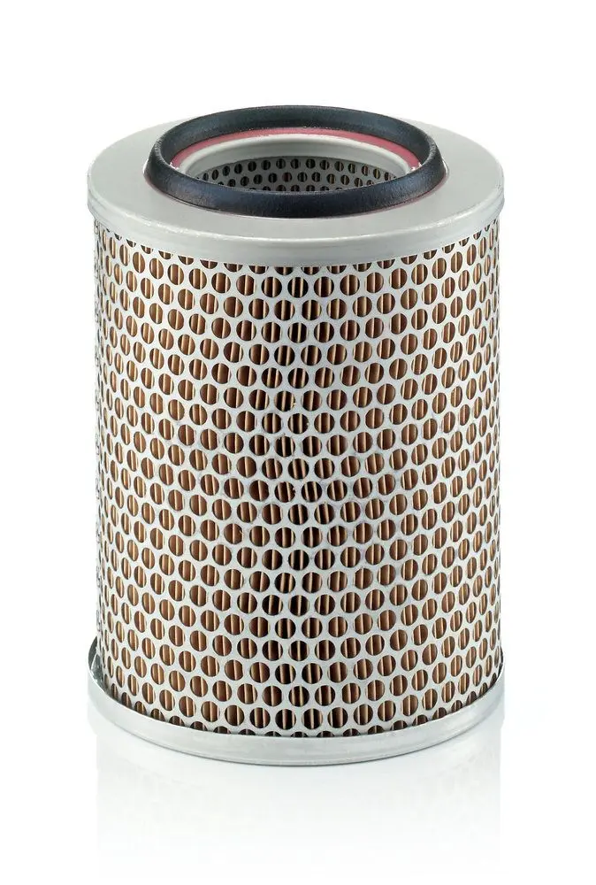 MANN-FILTER Vzduchový filtr C17160