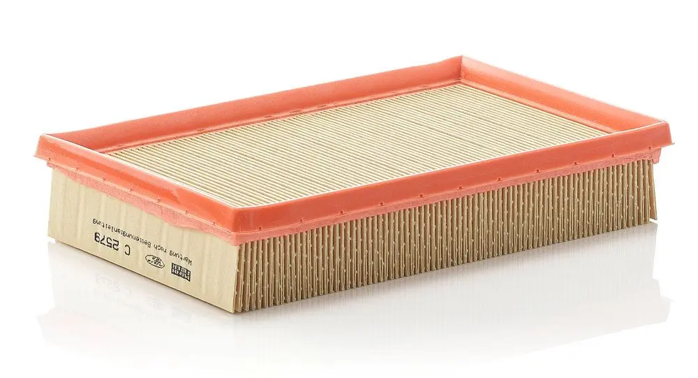 MANN-FILTER Vzduchový filtr C2579