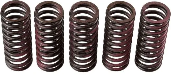 TRW ZF spojkové pružiny KAWASAKI KX 125 03-08, KX 250F 04- (TRW ZF spojkové pružiny KAWASAKI KX 125 03-08, KX 250F 04-)