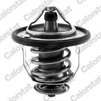 Termostat, chladivo CALORSTAT by Vernet 5434.82/J