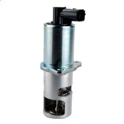 AGR-Ventil MAGNETI MARELLI 571822112016