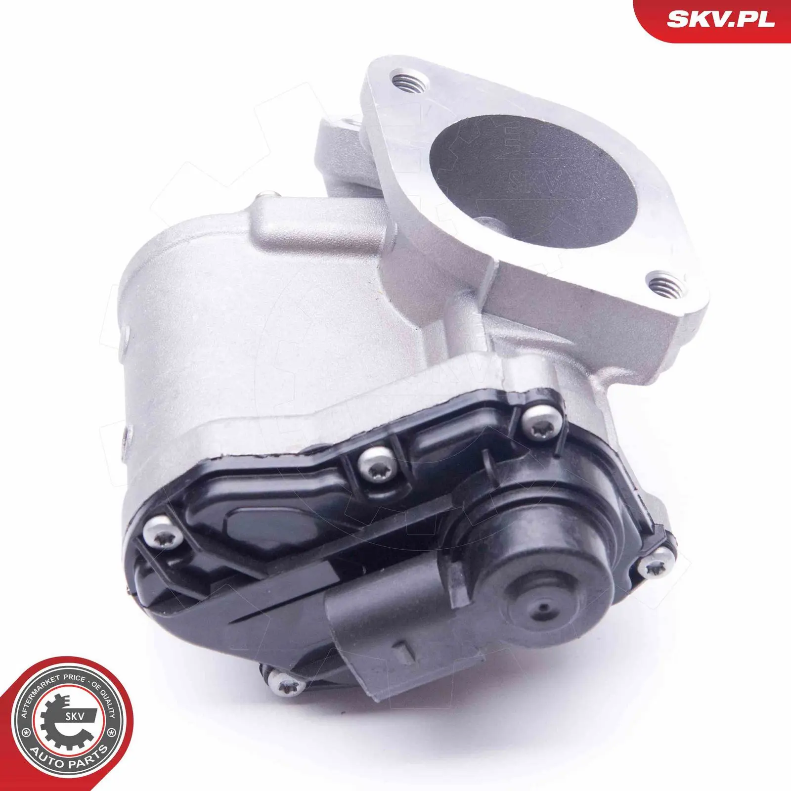 AGR-Ventil ESEN SKV 14SKV168